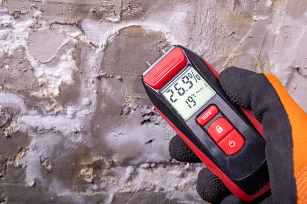 Best Localized Mold Remediation (e.g., coastal areas, humid climates) in East Franklin, NJ